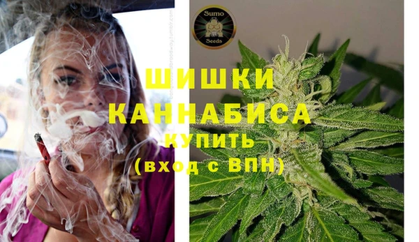 Альфа ПВП Богородск