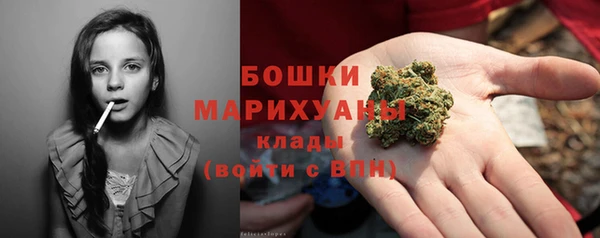 Альфа ПВП Богородск