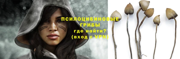 Альфа ПВП Богородск