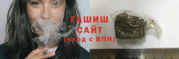крисы Богородицк