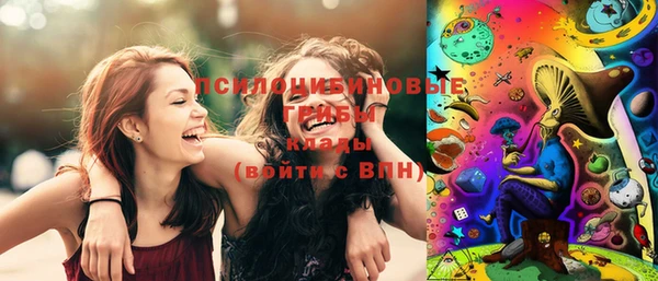 крисы Богородицк