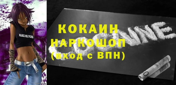 крисы Богородицк