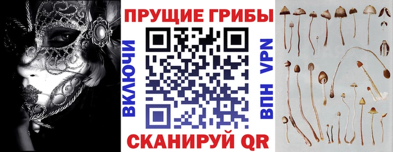 Псилоцибиновые грибы GOLDEN TEACHER  наркота  Вяземский 